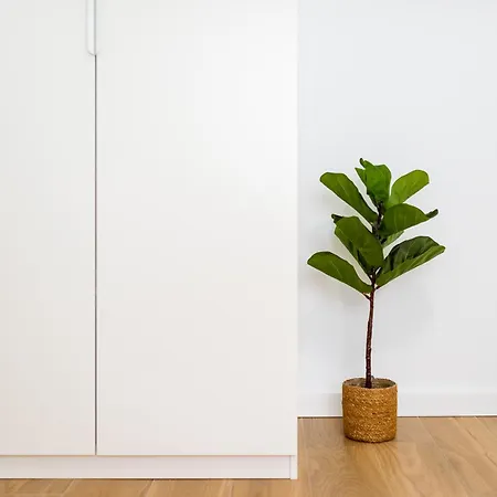 Centro Y Confort Junto A Corte Ingles Appartement